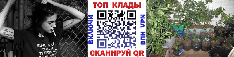 Наркотические вещества Губкин ЭКСТАЗИ  Псилоцибиновые грибы  Меф  Гашиш  Кокаин  Канабис  Alpha-PVP 