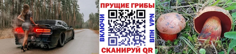 купить наркотики сайты  Губкин  Галлюциногенные грибы Cubensis 